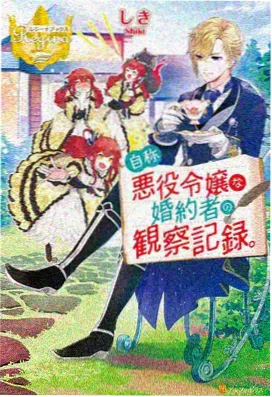 腐海生态设定分层结构图